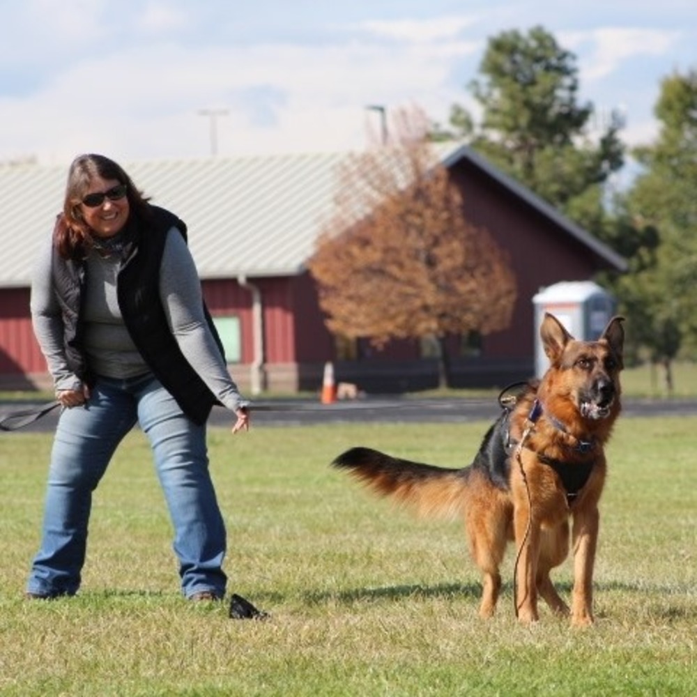 Meet your Posher, Donna